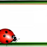 Ladybug Party Invitation Card